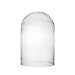CYS EXCEL Glass Dome, Showcase Piece, Decorative Display Case, Cloche Bell Jar Terrarium, Pack of 1
