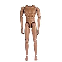 ZYAQ 1/6 Scale Action Figure Male Muscular Body Toys Doll Without Neck fits TTM18 TTM19 Hot Toys