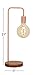 CosmoLiving by Cosmopolitan 39113 Tall Industrial Style Metallic Copper Metal Table Lamp with Diffused Edison Bulb | 7” x 21”