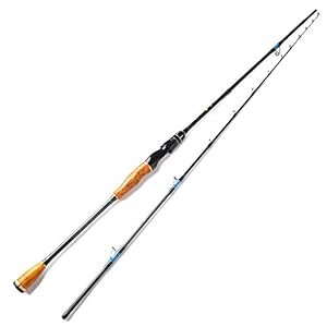 Hayandy Mer Saltwater Spinning Canne à Pêche Jigging 1,8m 2,1m 2 Section Lure 50-180g Action Rapide Bateau Cannes…