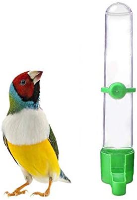 鳥フィーダー ペット給水器 自動給餌器 えさ入れ オウム ペット用品 自動フィーダ 飲み 餌入れ 掛ける 食器 水飲み ケージ内装 軽量 取り付け簡単 鳥用品 えさ台 吊下げ 野鳥の餌台 小鳥 鳩 ガーデン用 グリーン Parapentefamily Com