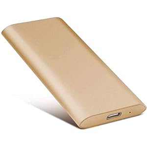 2TB External Hard Drive, Portable Hard Drive External Type-C/USB 2.0 HDD for Mac Laptop PC(2TB-gold)
