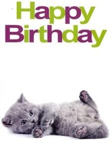 Carte D Anniversaire Motif Petit Chat Gris Sur Fond Blanc Points Papier Epais Beilagekarte De Mini Contenu La Livraison Pieces Amazon Fr Fournitures De Bureau