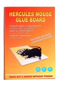 Zollyss Rat Glue Traps Mouse Terminator Powerful Pest Control Rat Killer Repeller Harmless Insect Traps for Home D