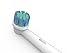 Replacement Toothbrush Heads by Oliver James, 12 Pack Standard Heads with Travel Caps, Precision Clean Refill Compatible with Pro1000 Pro3000 Pro5000 Pro7000