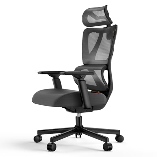 ProtoArc EC100 Ergonomic Office Chair - Desk Chair with 10cm Spring Cushion, Lumbar Support, Adjustable Arms and Headrests, Mesh Swivel Chair for Home and Office, Black