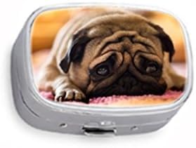 Cute Pug Dog Decor Custom Silver Stylish, slim design Pill Box Holder,rectangle Medicine Vitamin Organizer Pill case