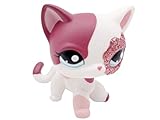 Wooer Cute Animal Pet Cat Collection Child Girl Cat