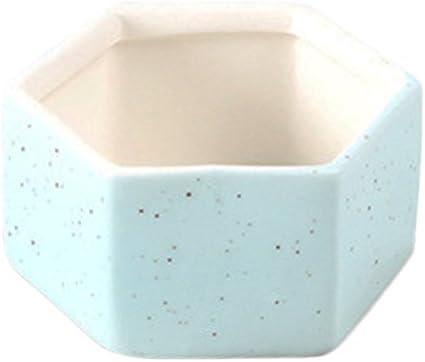 Wicemoon Mini Flower Plant Containers Hexagon Ceramic Succulent Planter Pots Holders (Blue)