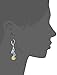 Amazon Collection Sterling Silver Swarovski Elements Crystal Aurora Borealis Multi-Teardrop and Briolette Earrings