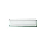 Design Ideas 872641 Vision Trough Vase, Clear