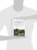 Front cover for the book Dublin in Rebellion: A Directory 1913-1923 by Joseph E.A Connell