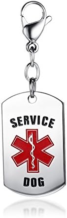 MP Dog's Stainless Steel Personalized Customazation Medical Alert Engraved ESA Dog Tag Pet Keychain,Free Engraving
