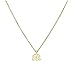 ULAKY Simple Gold Clavicle Necklace Chain with Card for Women,Elephant gold + card