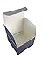 Butler in the Home Airplane Shaped Paper Clips 35 Count in Silver Tin and Silver Gift Box Great For Paper Clip Collectors or Plane and Pilot Lovers (Cool Gray)