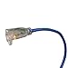 US Wire 99100 12/3 100-Foot SJEOW TPE Extreme Weather Extension Cord Blue with Lighted Plug