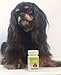 New Zealand Deer Velvet Wellness Formula for Dogs & Cats
