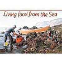 Image of Sea Lettuce, 1 pound (raw, certified organic)