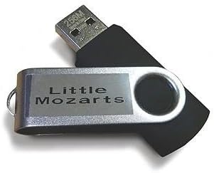 [(Music for Little Mozarts -- General MIDI Accompaniments on USB Flash Drive: For Lesson and Discovery Books, Levels 1-4, USB Drive)] [Author: Alfred Publishing] published on (August, 2010)