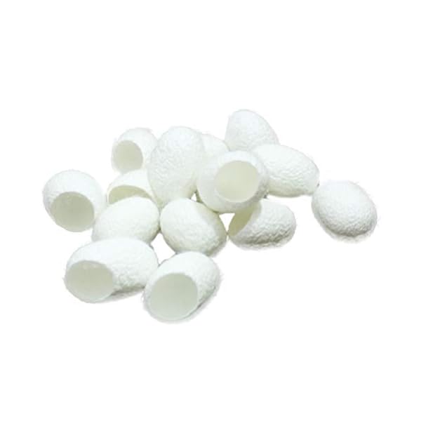 Lurrose Attrezzo 100pcs di cura di bellezza del dispositivo di rimozione dei punti neri delle punte della spazzola del… Lurrose Lurrose Attrezzo 100pcs di cura di bellezza del dispositivo di rimozione dei punti neri delle punte della spazzola del…