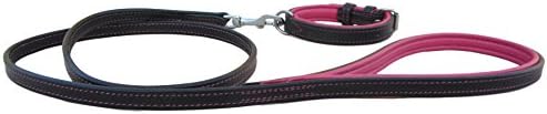 SafeX Leather Dog Collar & Leash Set (Black with Hot Pink Padding, Extra Small (Fits Neck Size 9 inches - 12 inches))