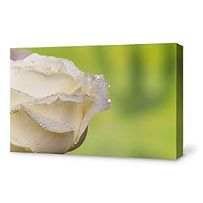 SIGNFORD Canvas Wall Art for Living Room,Bedroom Home...