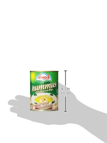 Al Wadi Hummus Chick Pea Dip, 14.2-Ounce (Pack of 12)