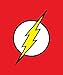 Disney, Marvel, DC Justice League Fleece Throw Blanket 50