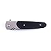 Firebird Knife F743-1 by Ganzo G743-1 Pocket Folding Hunting Knife G-10 Handle SS Blade (Black)