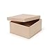 Bulk Buy: Darice DIY Crafts Paper Mache Box Square 8 x 8 x 4 inches (2-Pack) 2805-41FCAS