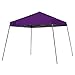 Quik Shade Expedition 10 x 10-Foot Instant Canopy, Slant Leg Outdoor Tent, 64 Square Feet of Shade for 8-12 People - Purple