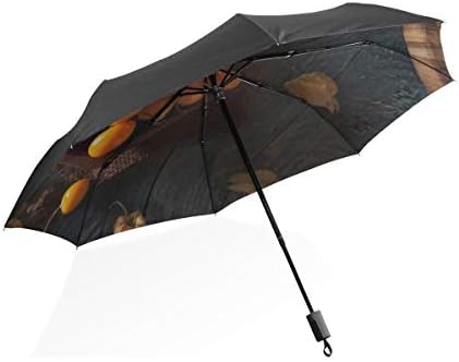 good umbrellas for wind