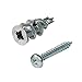 Ansoon Zinc Self Drilling Drywall Hollow-Wall Anchors with Screws Kit, 100 Heavy Duty Metal Wall Anchors and 100#8 x 1-1/4'' Screws - 200 Pieces All Together