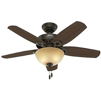 Hunter Indoor Ceiling Fan With Light And Pull Chain Control