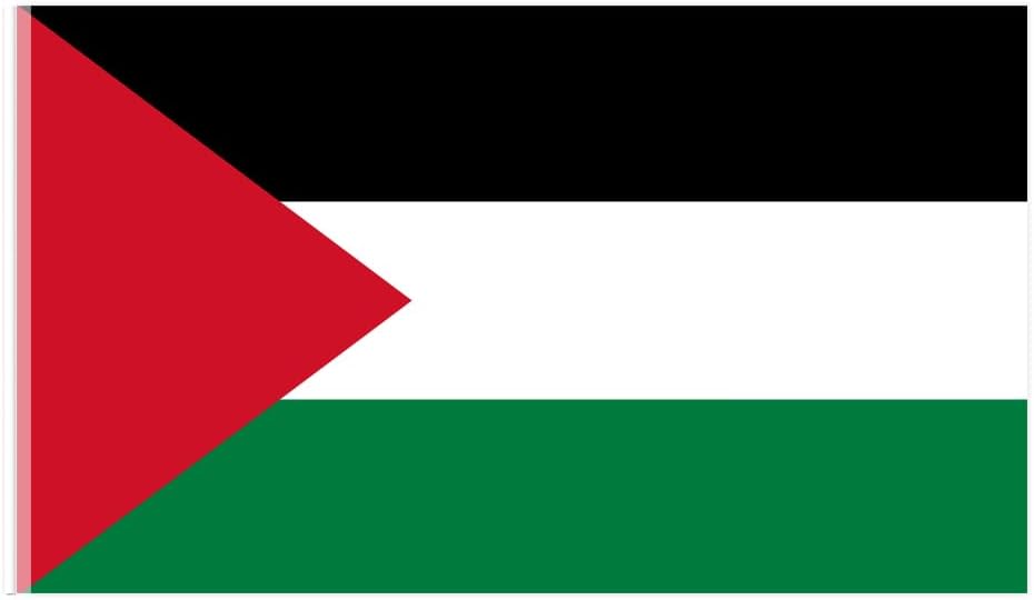 Flags - NIUCULY 3x5 Foot Palestine Flag - Vivid Color and Fade Proof - Canvas Header and Double Stitched - Mexico National Flags Polyester with Brass Grommets