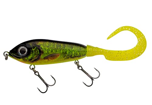 Abu Garcia Svartzonker McMy Tail Jerkbait – Clear High-Impact ABS, Eco-Friendly Weighted, Realistic 3D Effect, Designed in Sweden for Freshwater & Saltwater Fishing, Fire Carp Flash 20 cm