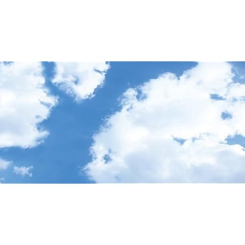 Cumulus I Skypanels; Fluorescent Light Diffuser Tools & Home Improvement, Light Bulbs, Compact Fluorescent Bulbs