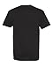 Hanes Men's X-Temp Performance T-Shirt (Medium)