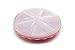 Fox Run Pie Carrier and Saver With Lid, Saves up to 10