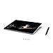 Microsoft Surface Go (Intel Pentium Gold, 4GB RAM, 64GB) (Renewed)