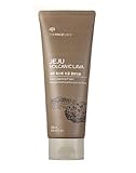 The Face Shop Jeju Volcanic Lava Pore Cleansing Foam For Facial Cleansing (150mL/5.0 Oz)