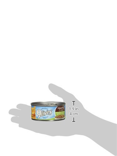 9LIVES GRAVY FAVORITES WET CAT FOOD VARIETY PACK, 5.5 OUNCE CAN (PACK OF 12)