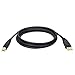 Tripp Lite USB 2.0 High-Speed Cable, Type-A to Type-B (M/M), 10-ft. (U022-010), Black