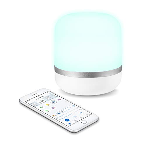 google home wiz