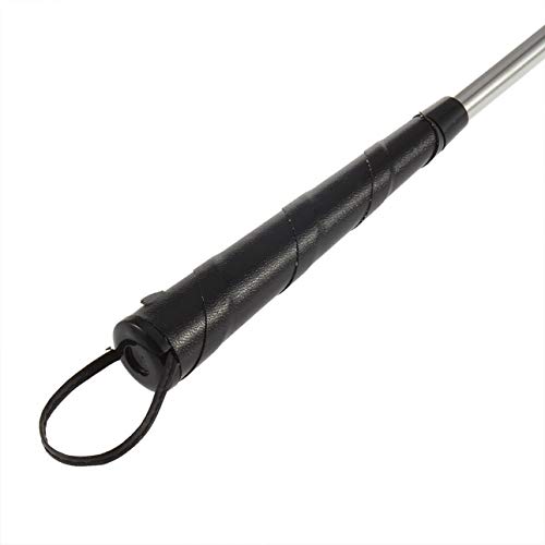 image for Liobaba Flexible Long Handle Shoehorn Stainless Steel Shoe Horn 60cm A