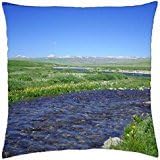 Bara Pani Deosai Skardu - Throw Pillow Cover Case (18" x 18")