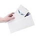 # 10 Security Envelopes ~ 500 Letter Size Envelopes with Peel & Seal Self Adhesive + Tinted Interior for Privacy Protection ~ Printer Friendly, Boxed, 4-1/8