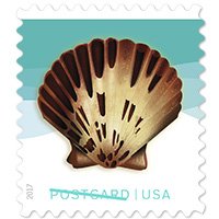 Seashells Postcard Stamp USPS Forever Stamps, Roll of 100 - US Postage Card Stamps