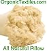 Kapok Fiber Filled Premium Standard size Medium Filled Pillow With Organic Cotton Covering