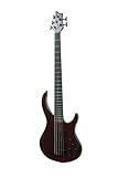 ivy IBA-500 Bass Solid-Body Electric Guitar, Trans Red